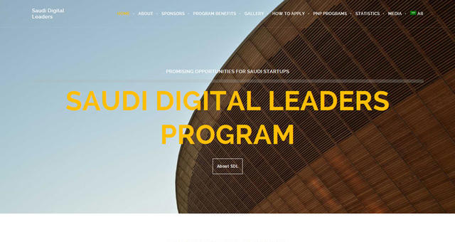 WordPress/WooCommerce Developement gallery image 27