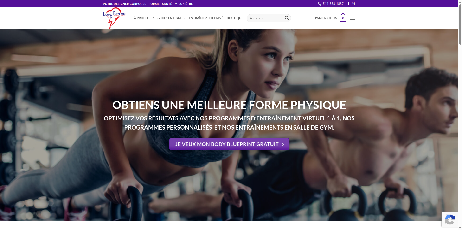 WordPress/WooCommerce Developement gallery image 21